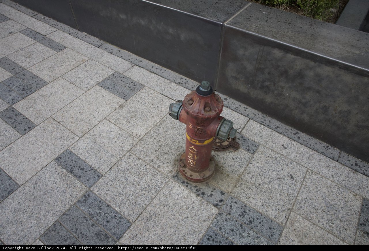 Sentinel on the Sidewalk