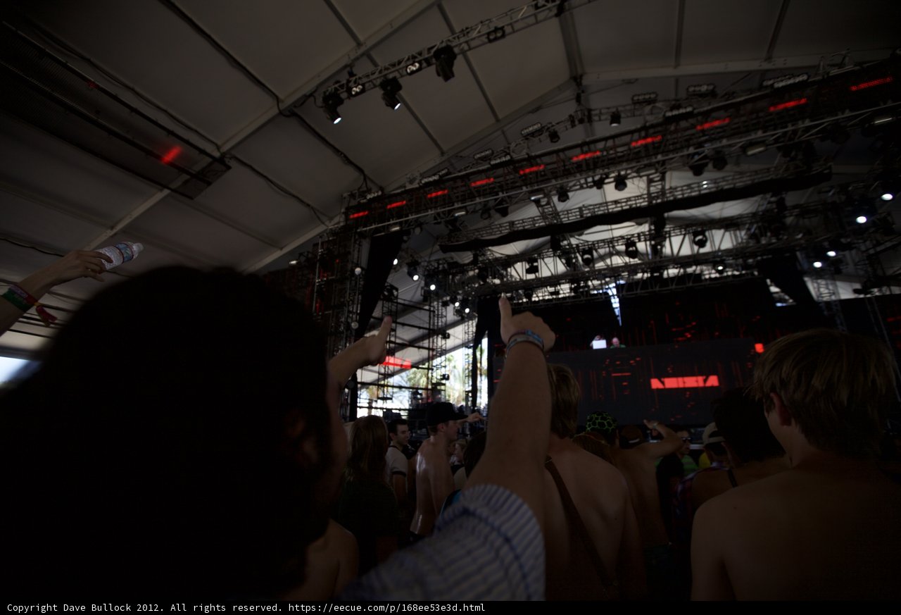Coachella Crowd Goes Wild