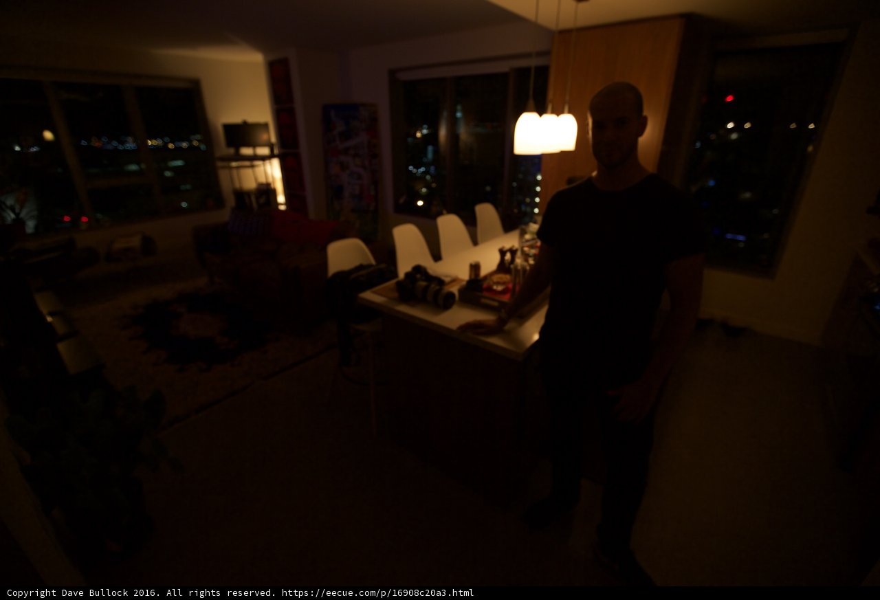 The Artist's Night In