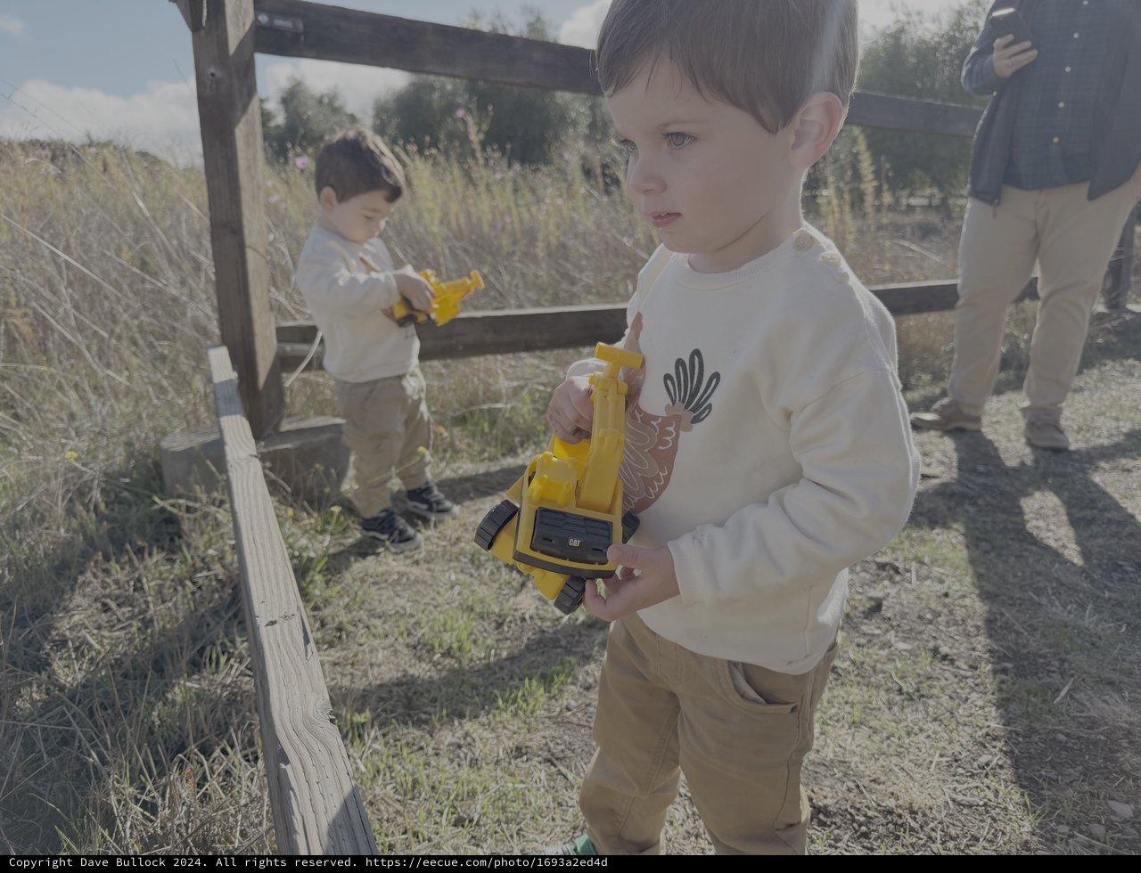 Children Playing with Yellow Toy Trucks Outdoors