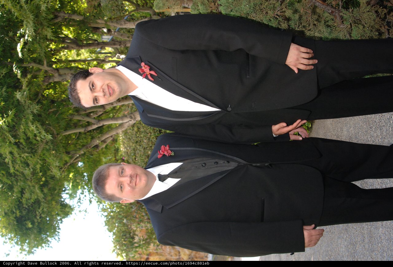 Two Grooms Celebrating Their Wedding Day Together