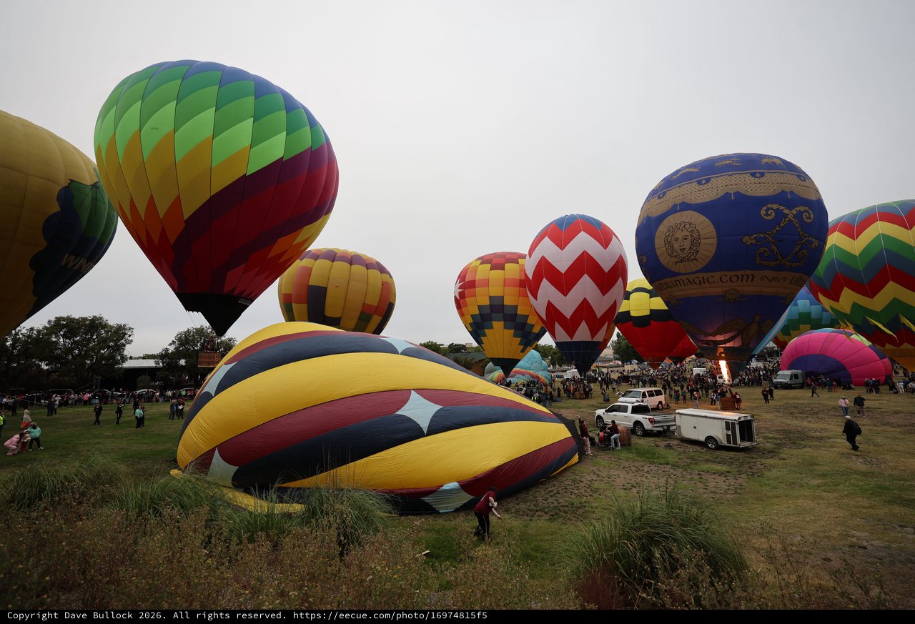Colorful Hot Air Balloons Fill the Sky at Classic Festival