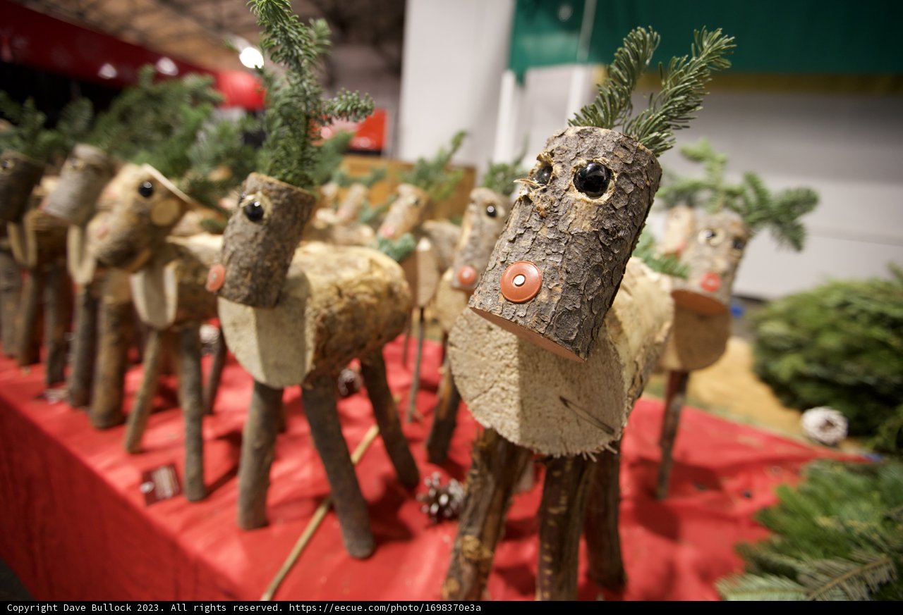 Enchanted Wooden Reindeer Gathering at Fort Mason