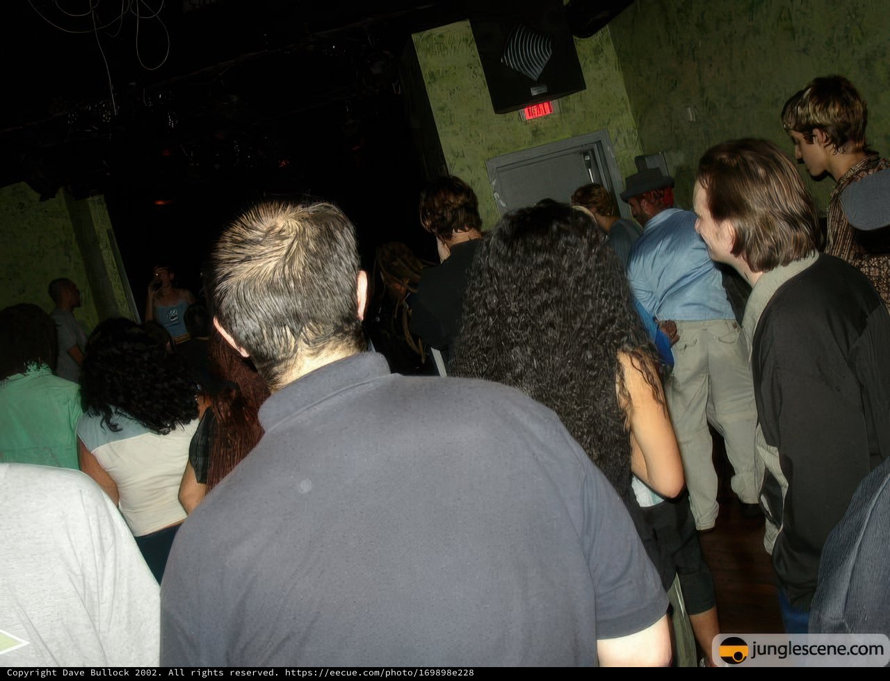 Nightclub Crowd