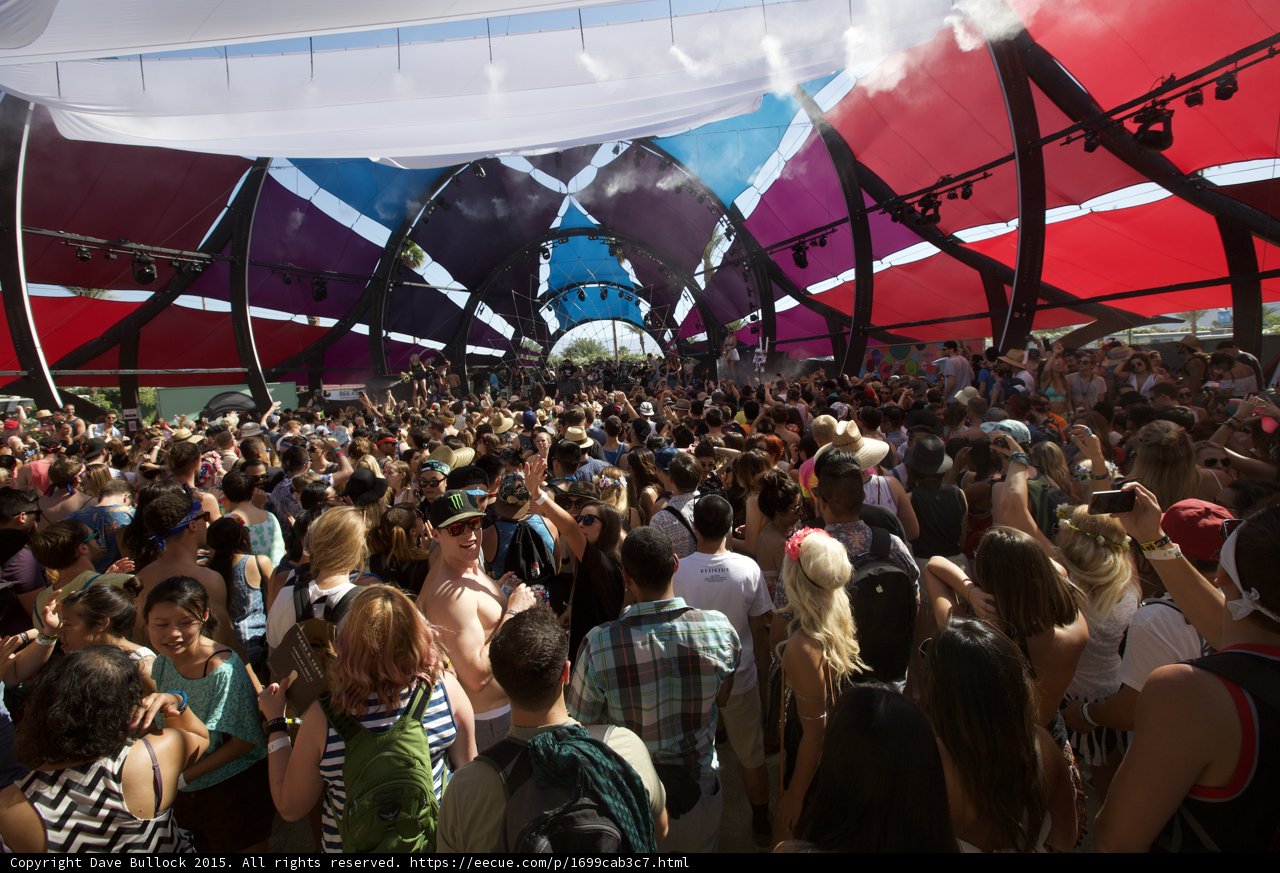 Coachella's Electric Crowd