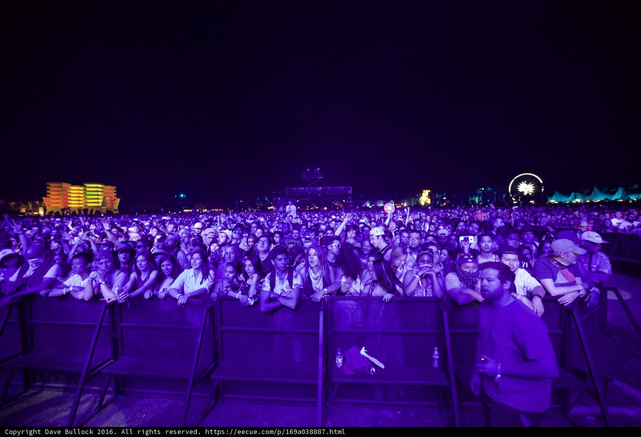 Purple Haze at Coachella