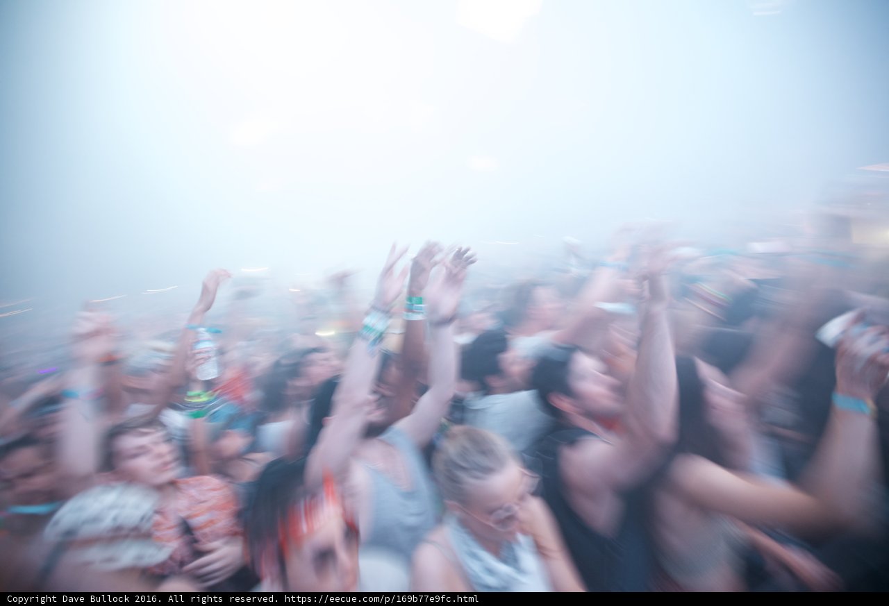 Coachella Crowd Craze