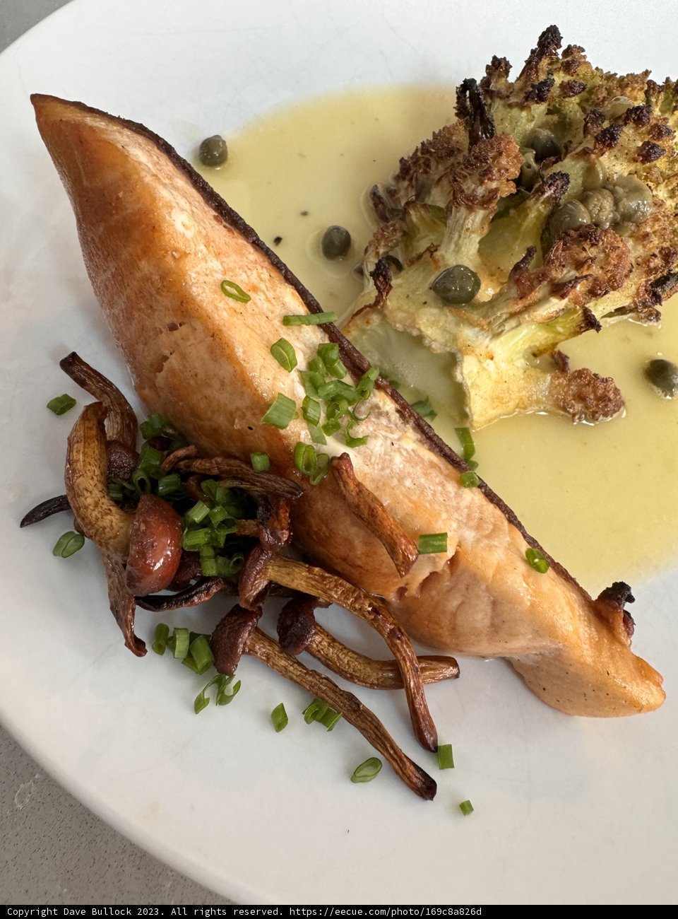 Delightful Salmon and Mushroom Delicacy