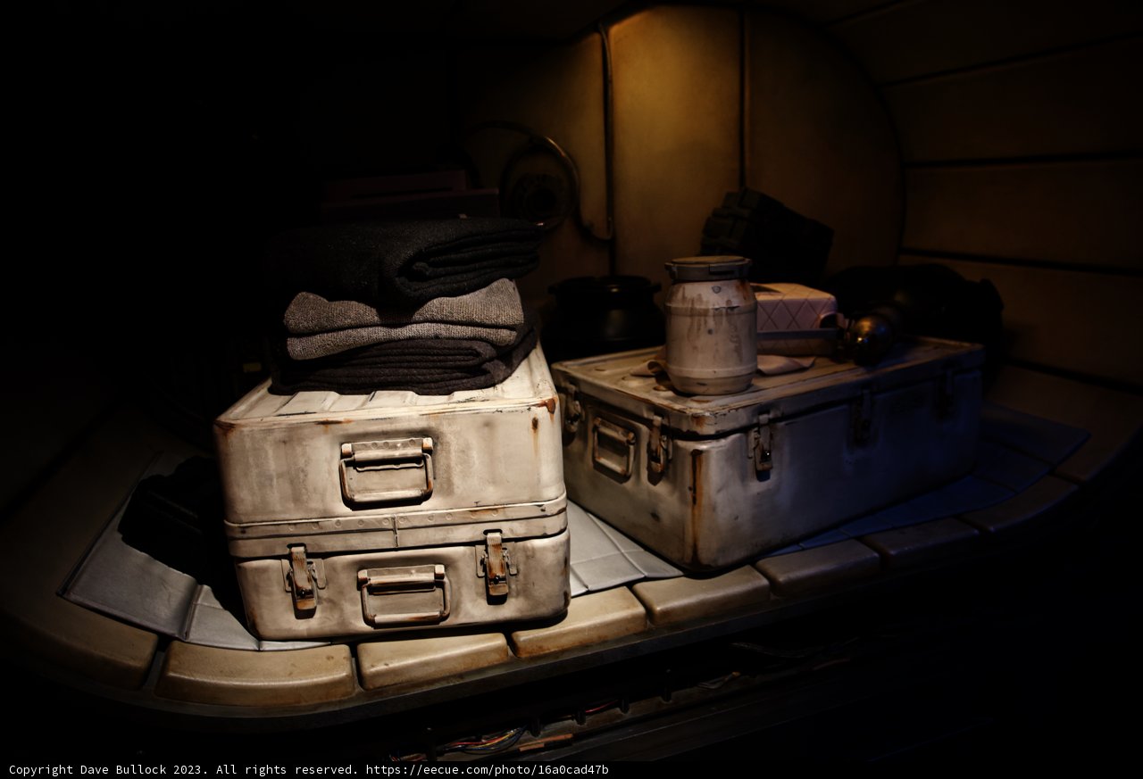 Suitcase Madness at Disneyland