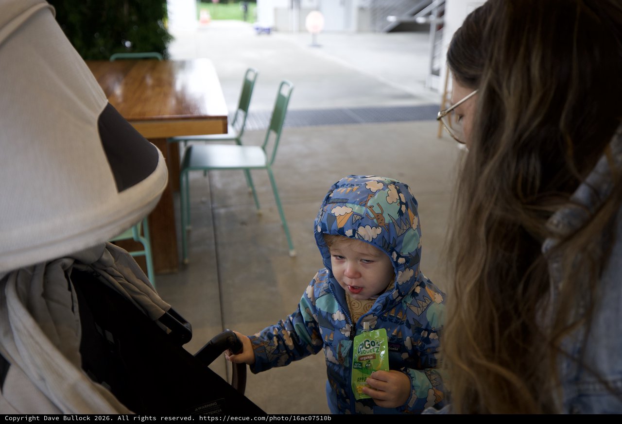 Young Child's First Restaurant Experience in Winter Coat