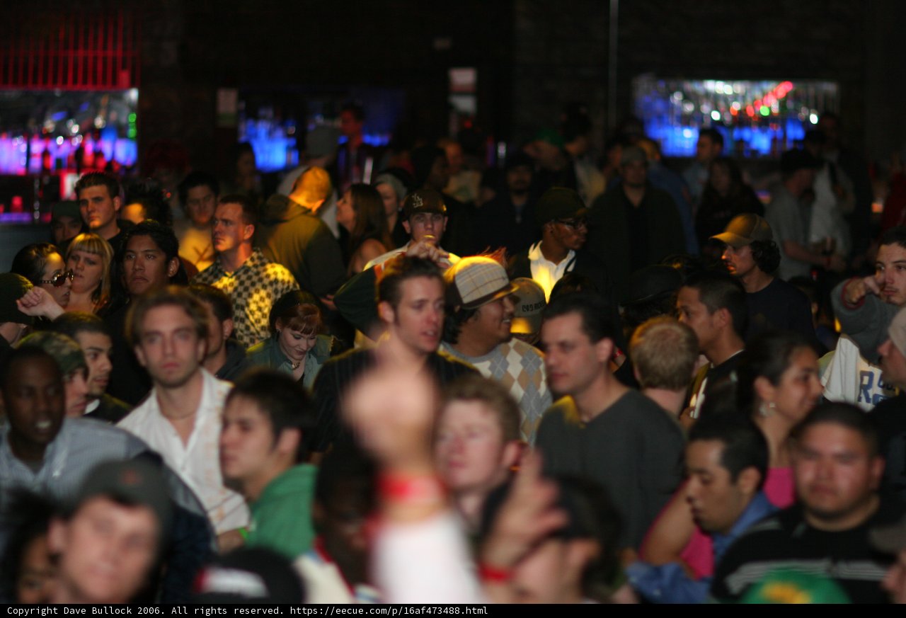 Bass Rush Partygoers