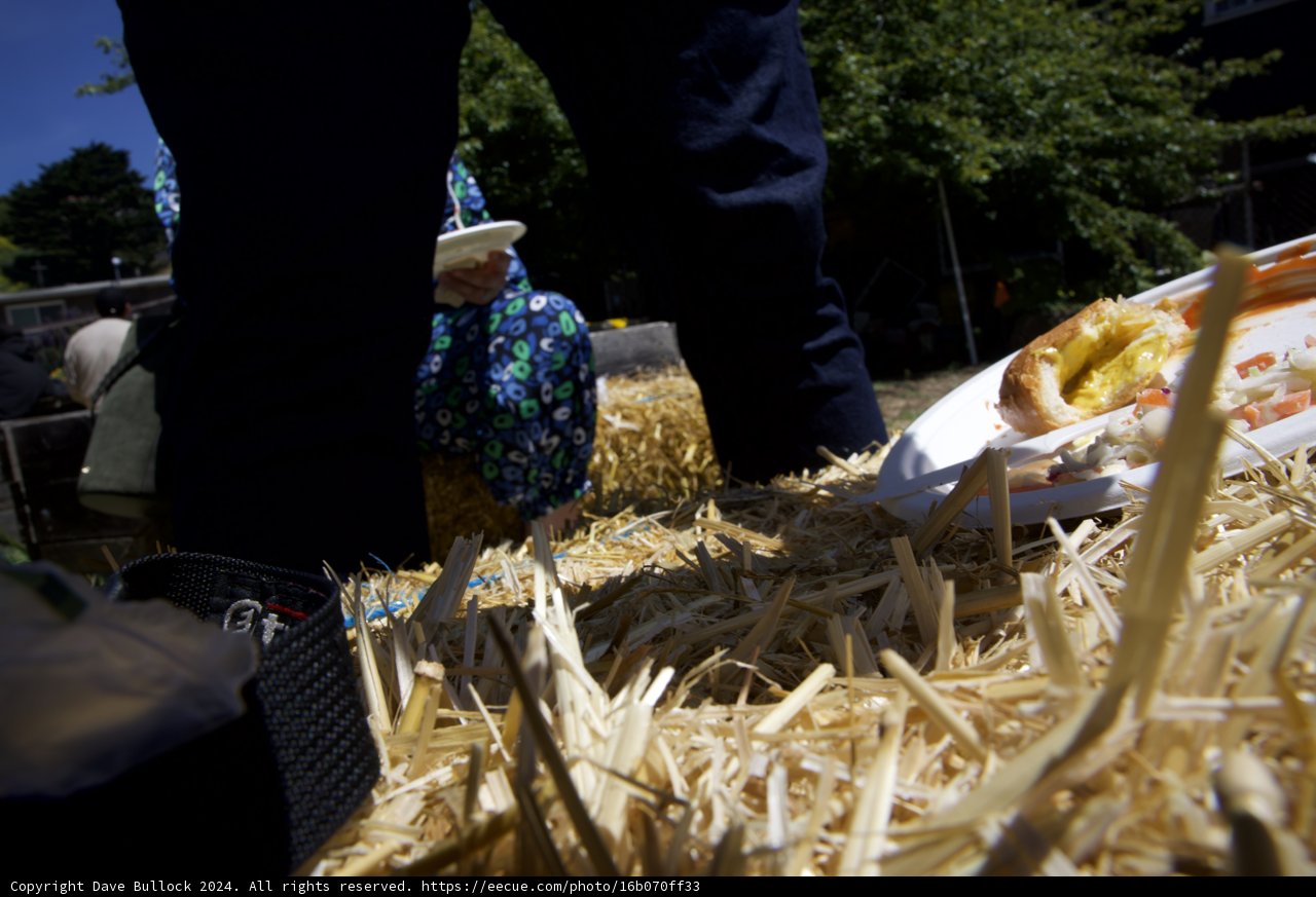 Earth Day Celebration at Alemany Farm