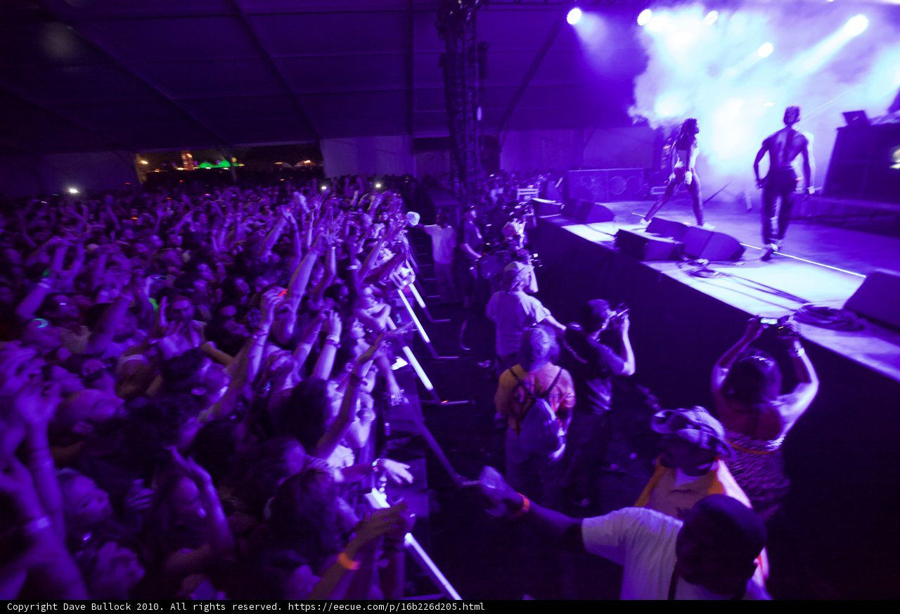 Purple Haze at Coachella