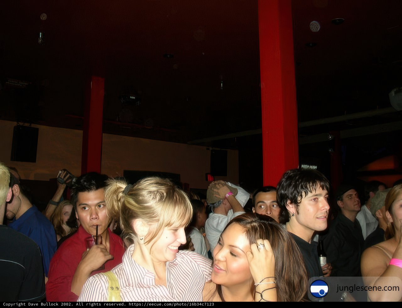 Nightlife Frenzy