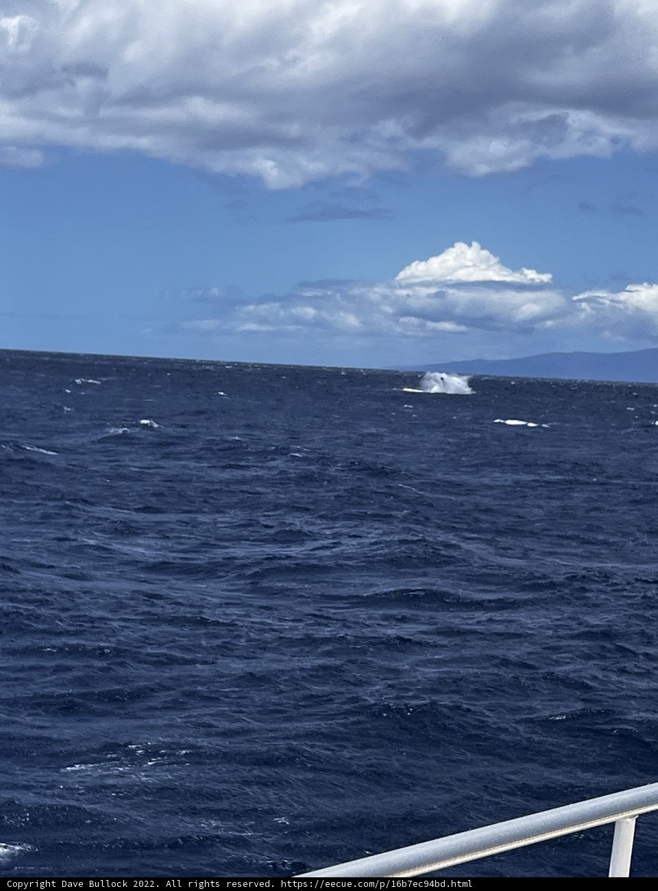 Sailing on the Horizon