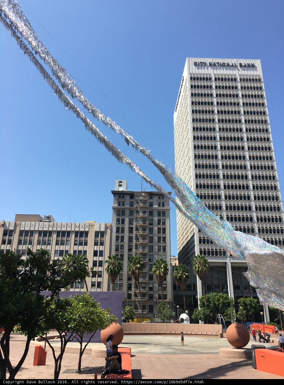Soaring High in the City