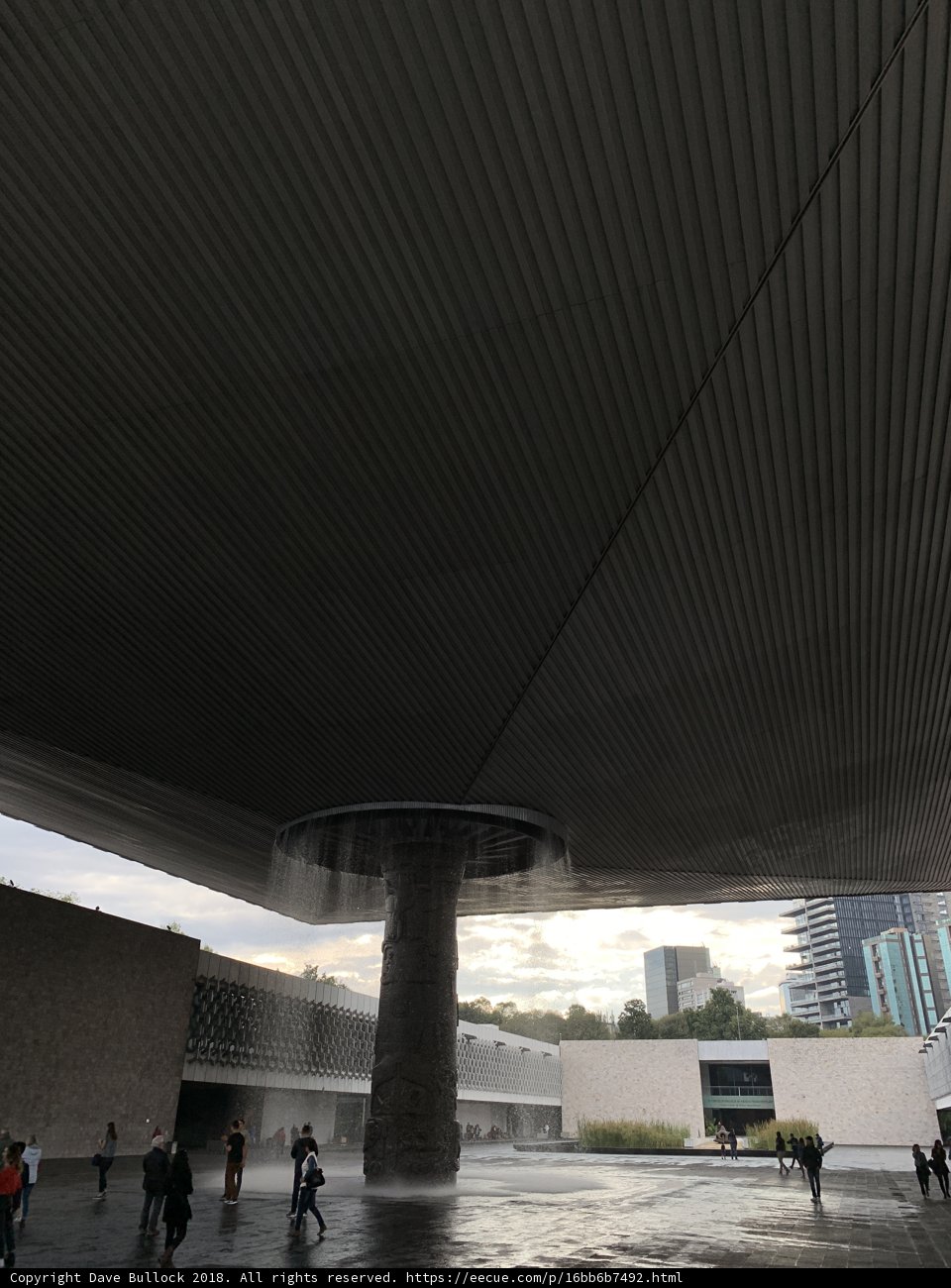Urban Oasis