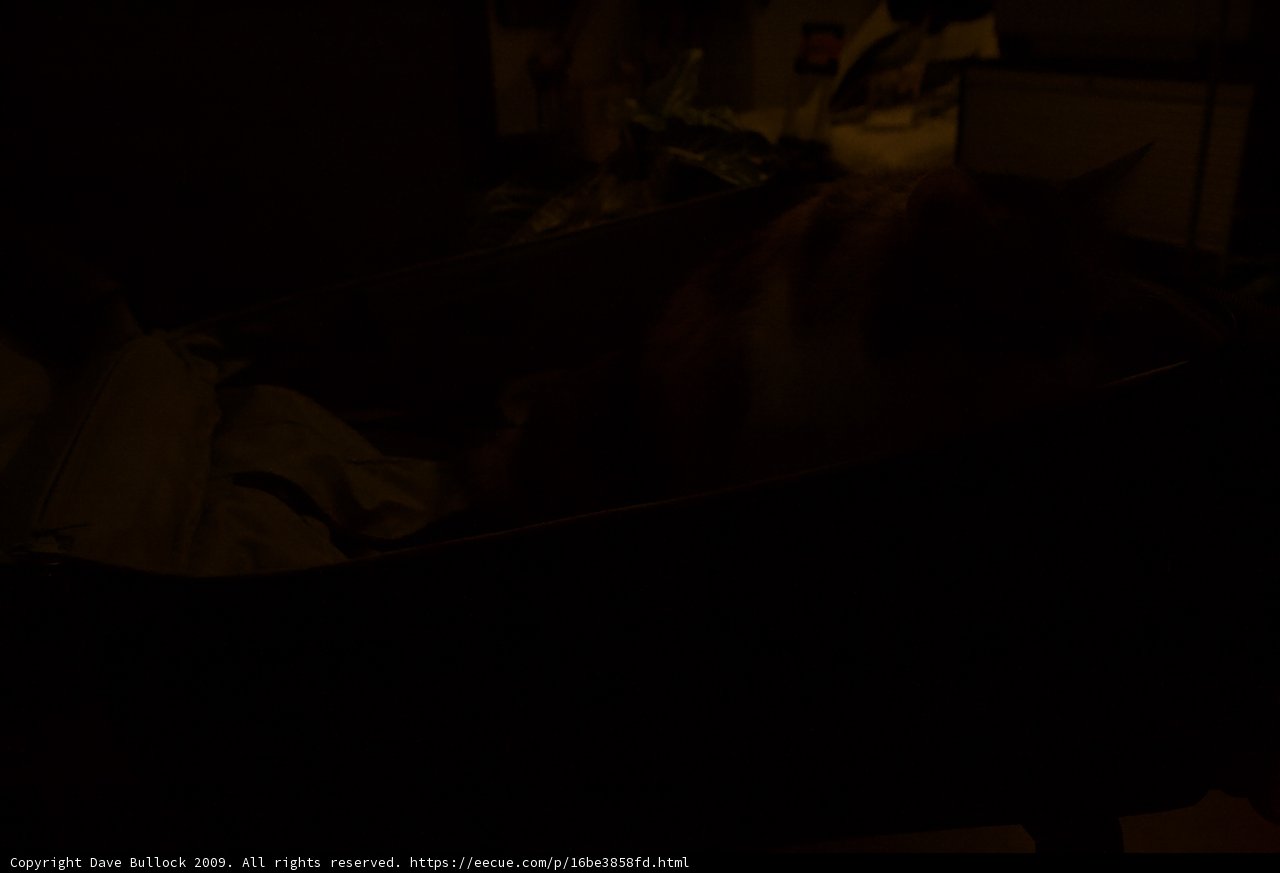Nighttime Comfort