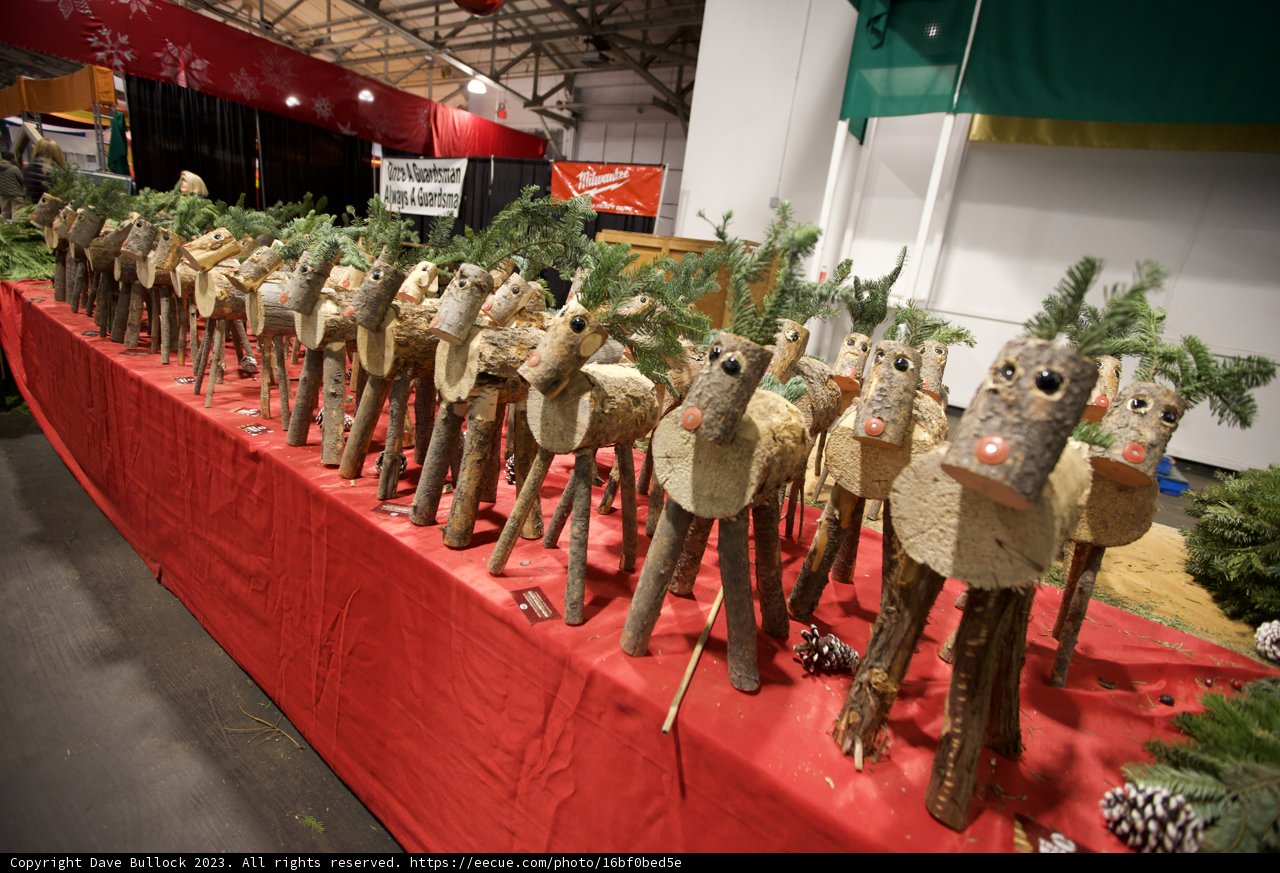 Christmas Spirit Unleashed at Fort Mason, 2023