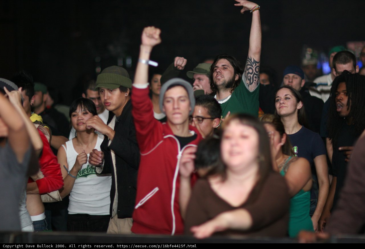 Raise Your Arms in the Crowd