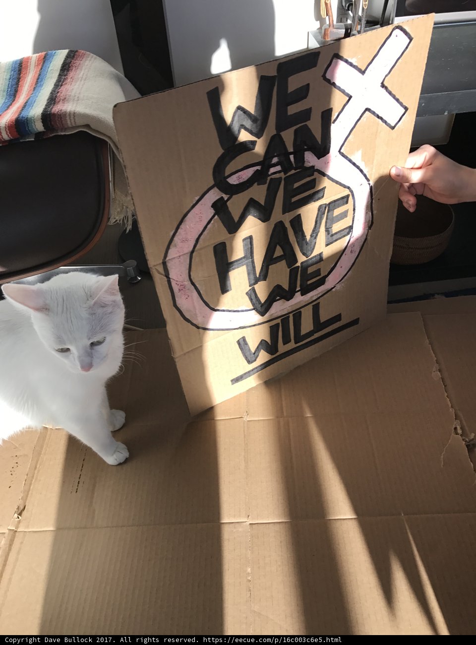 Feline Package Dealing