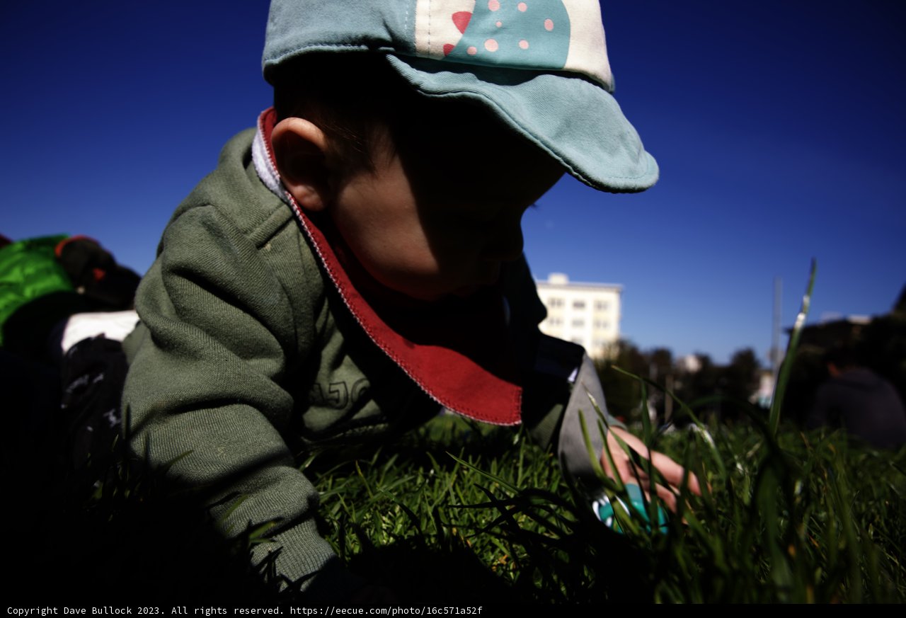 A Sunny Day in Alamo Square