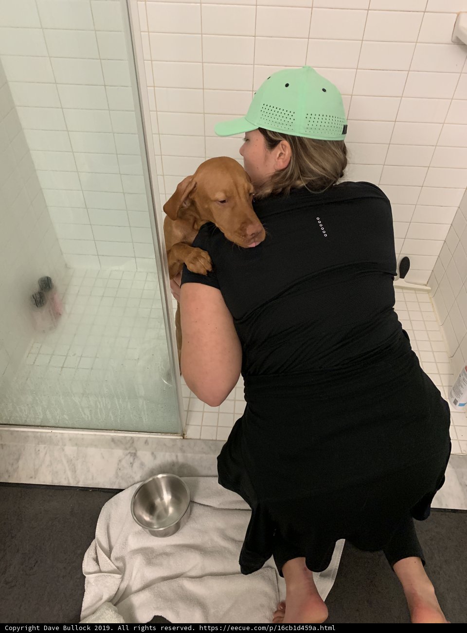 A Woman and her Canine Companion Take a Shower