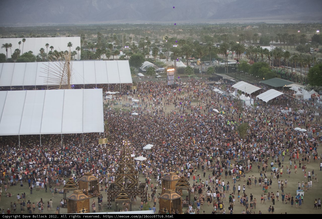 Coachella Concert-goers Unite