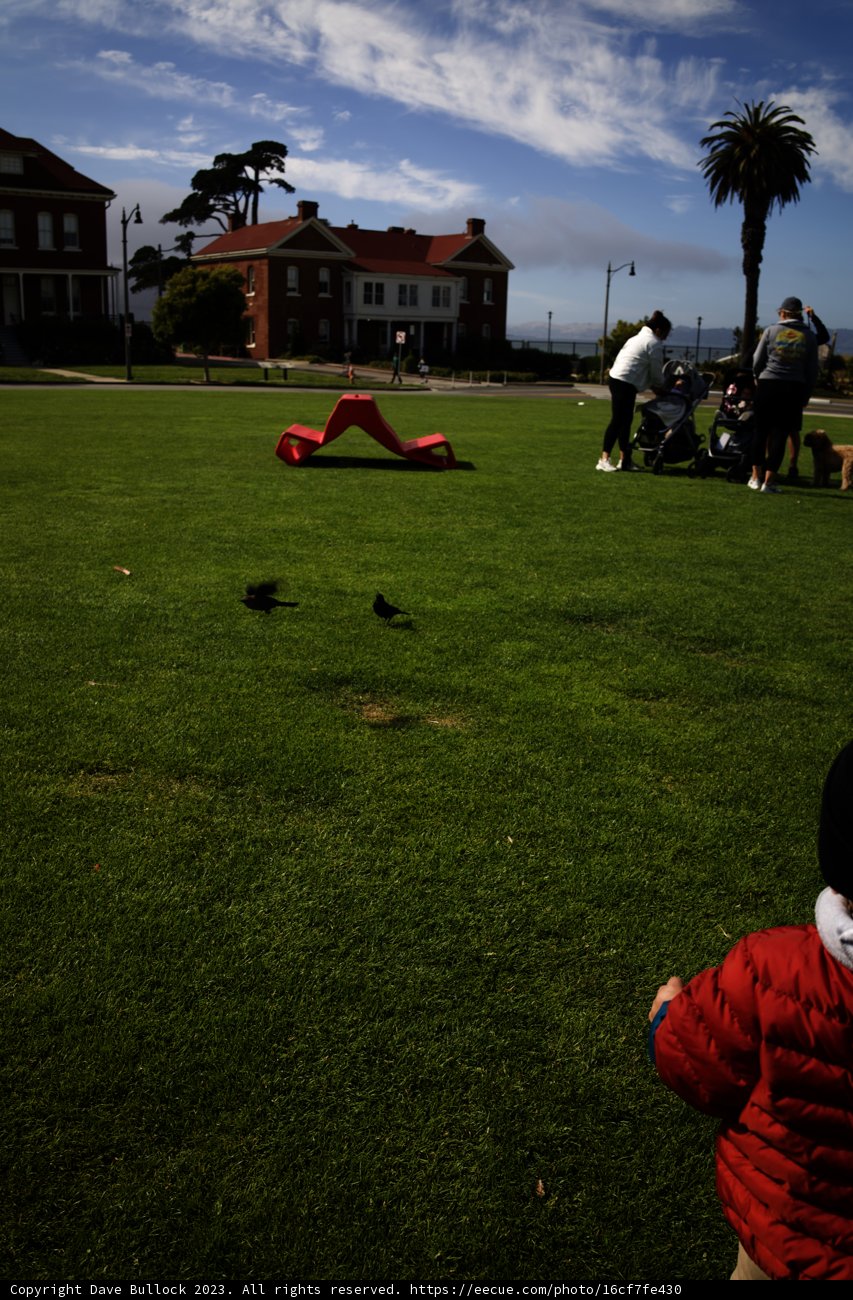 Summer Bliss in Presidio Park, 2023