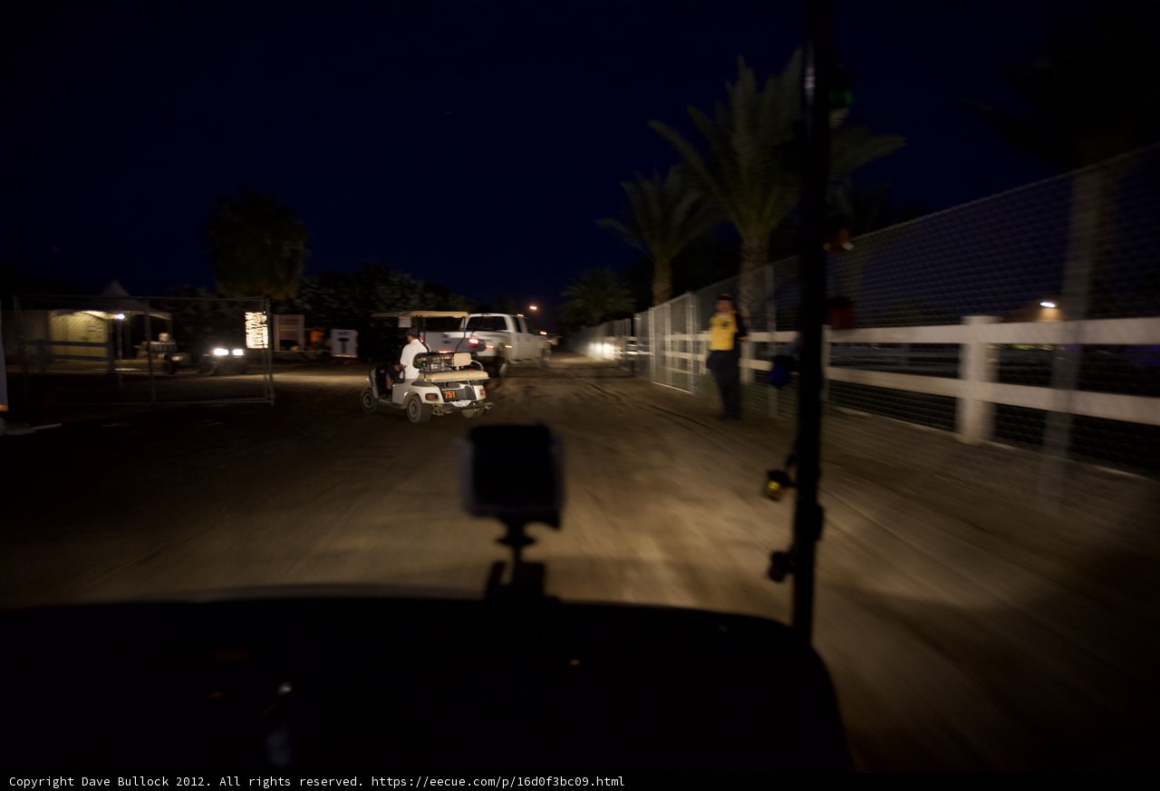 Night Drive through Palm Trees
