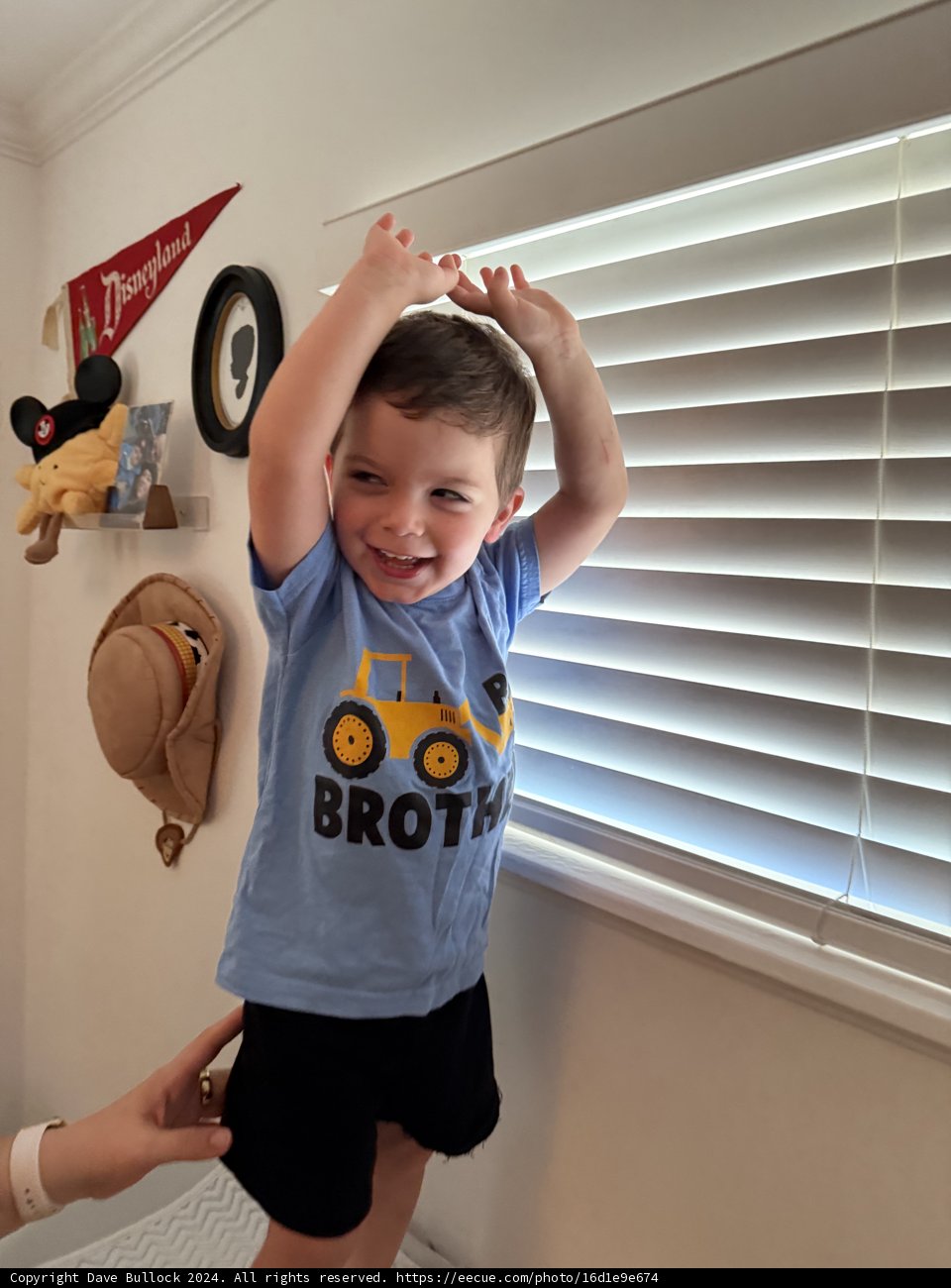 Playful Moments