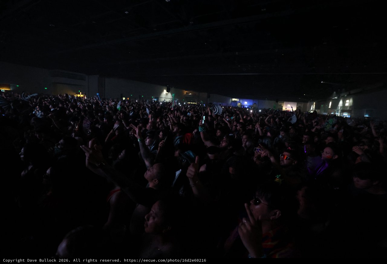 Massive Crowd Surges at Wobbleland 2026 Festival