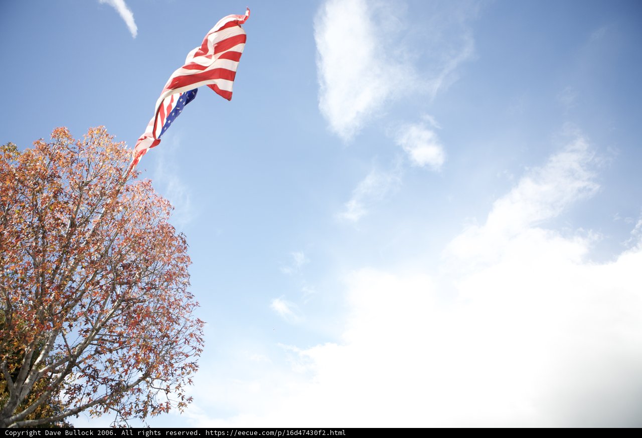 Patriotic Display