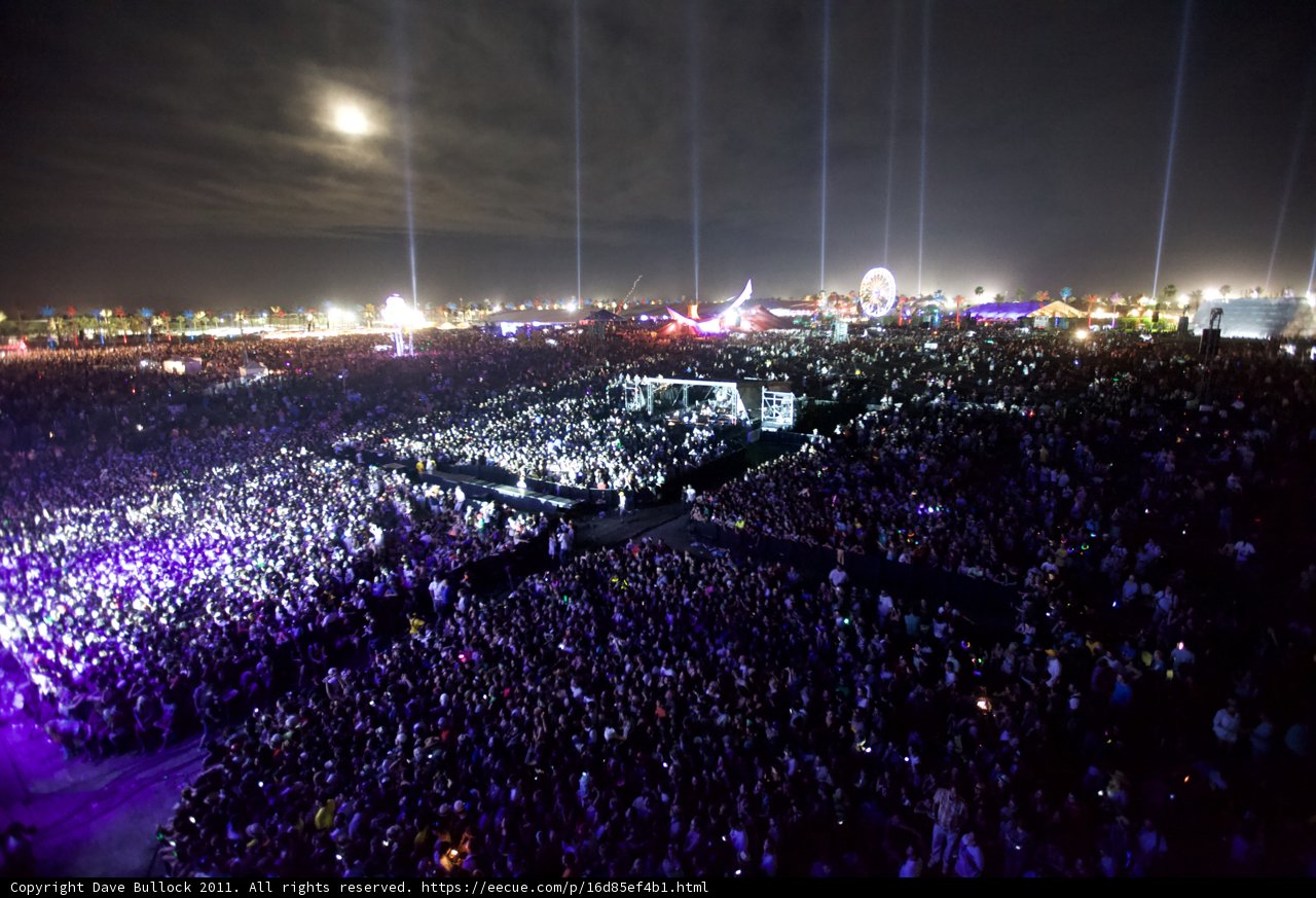 Moonlit Mayhem