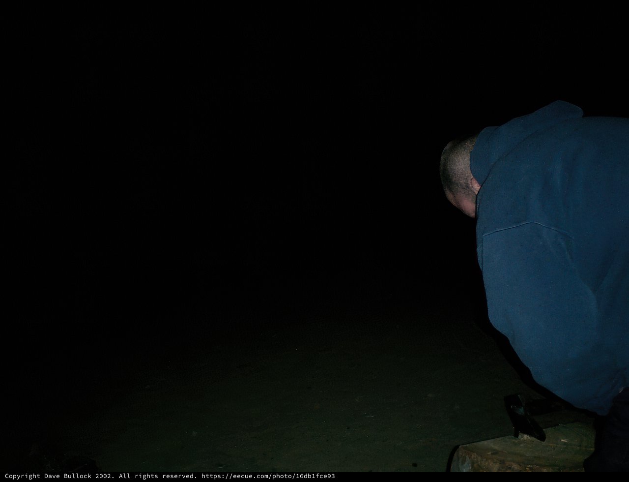 Night Stroll by the Shoreline