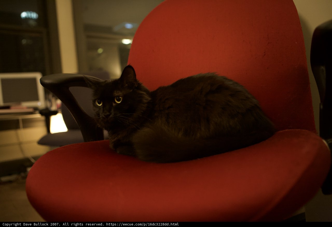 Black Cat Lounging on Red Chair at Night