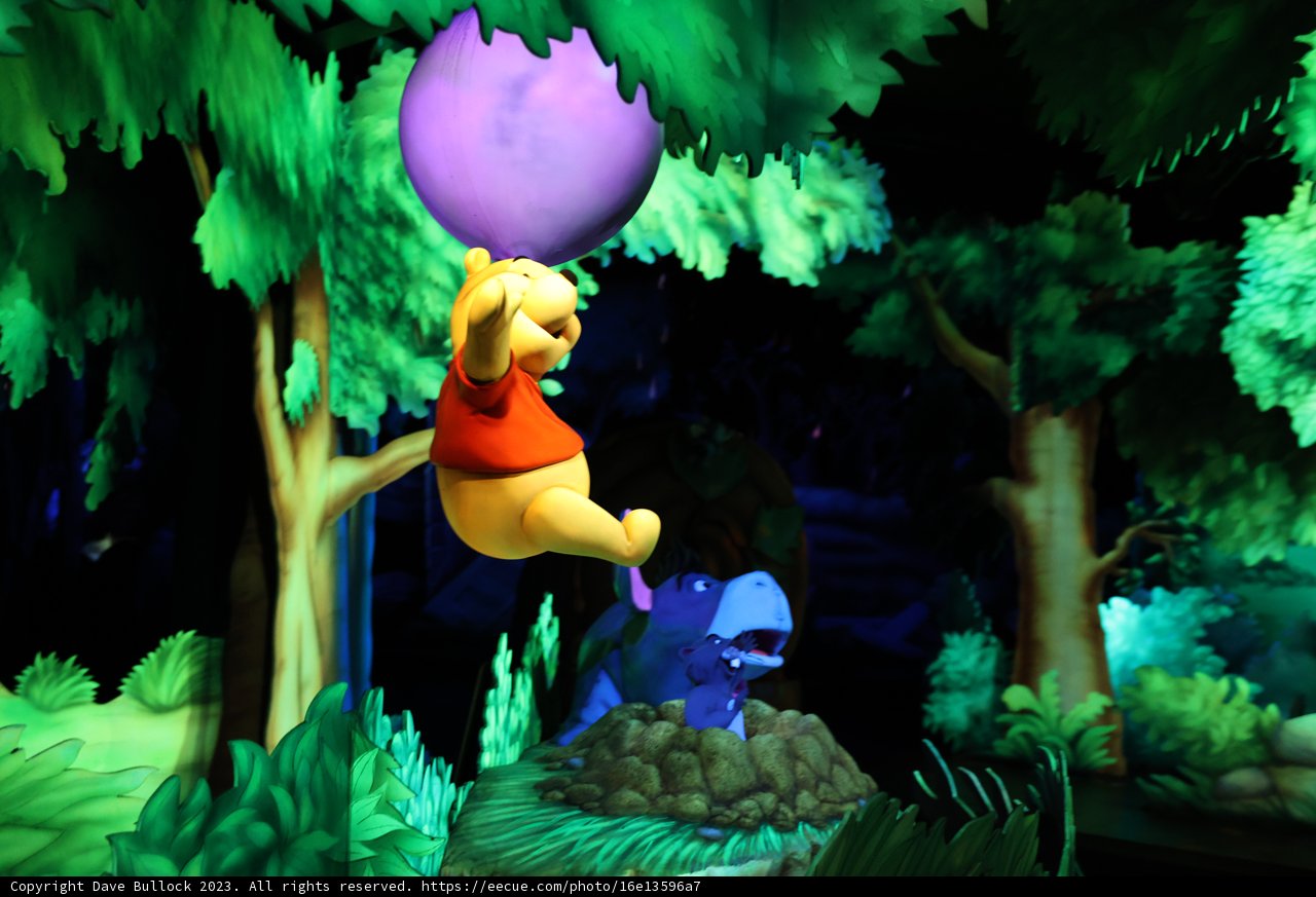 Winnie the Pooh and Pals Explore the Forest
