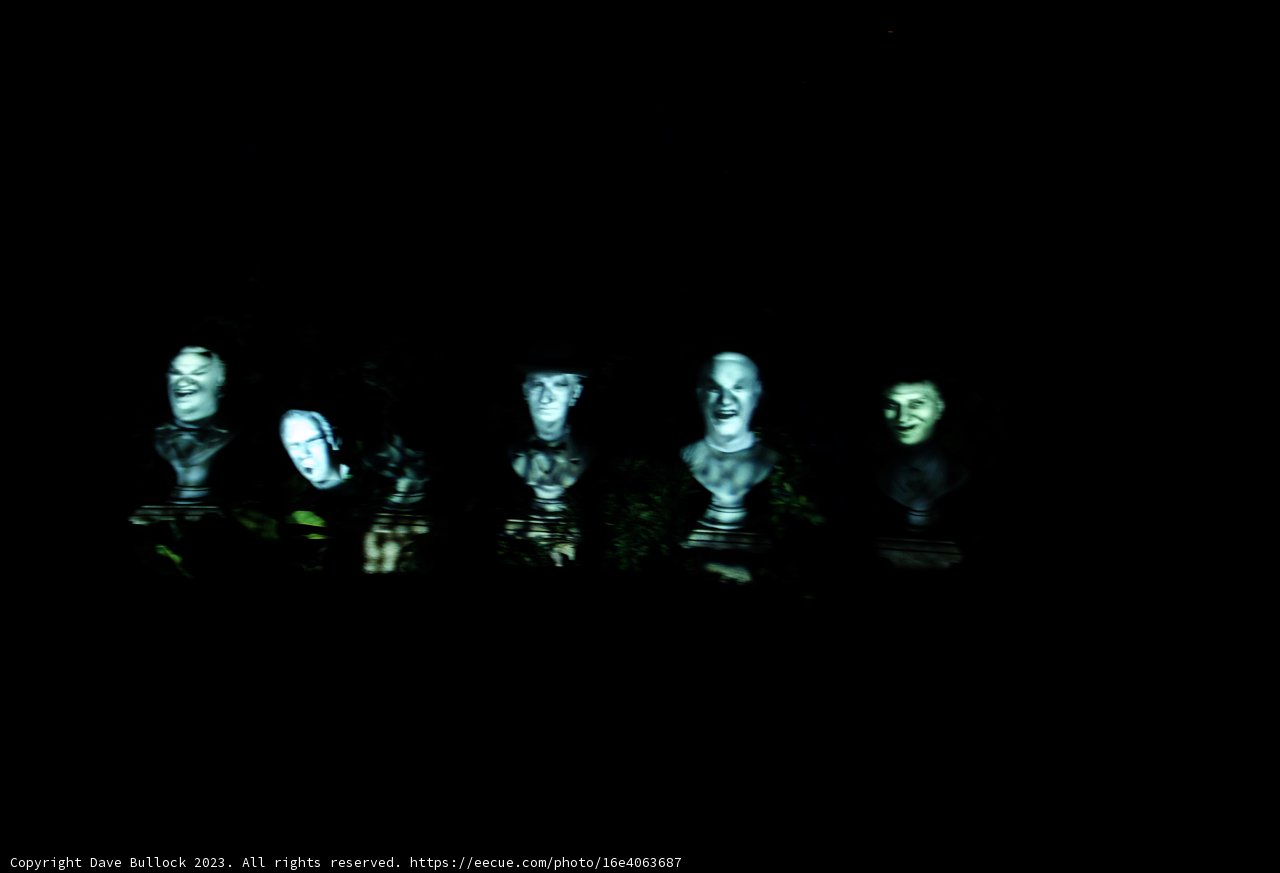 Enigmatic Gathering at Disneyland