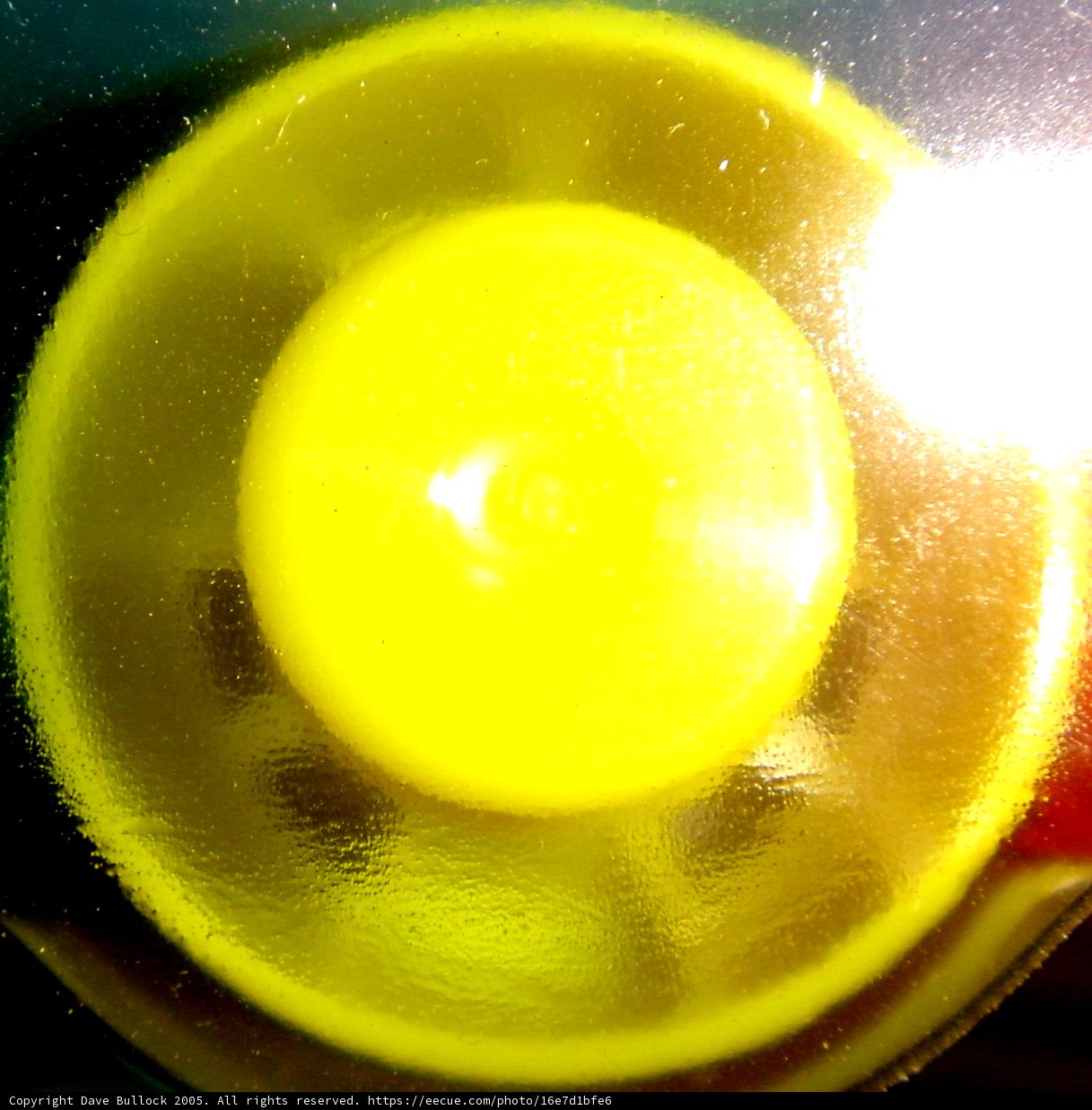 Sunny Side Up