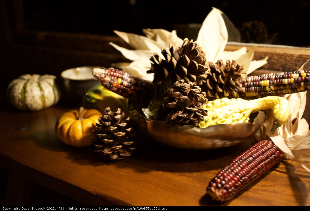 Harvest Bounty