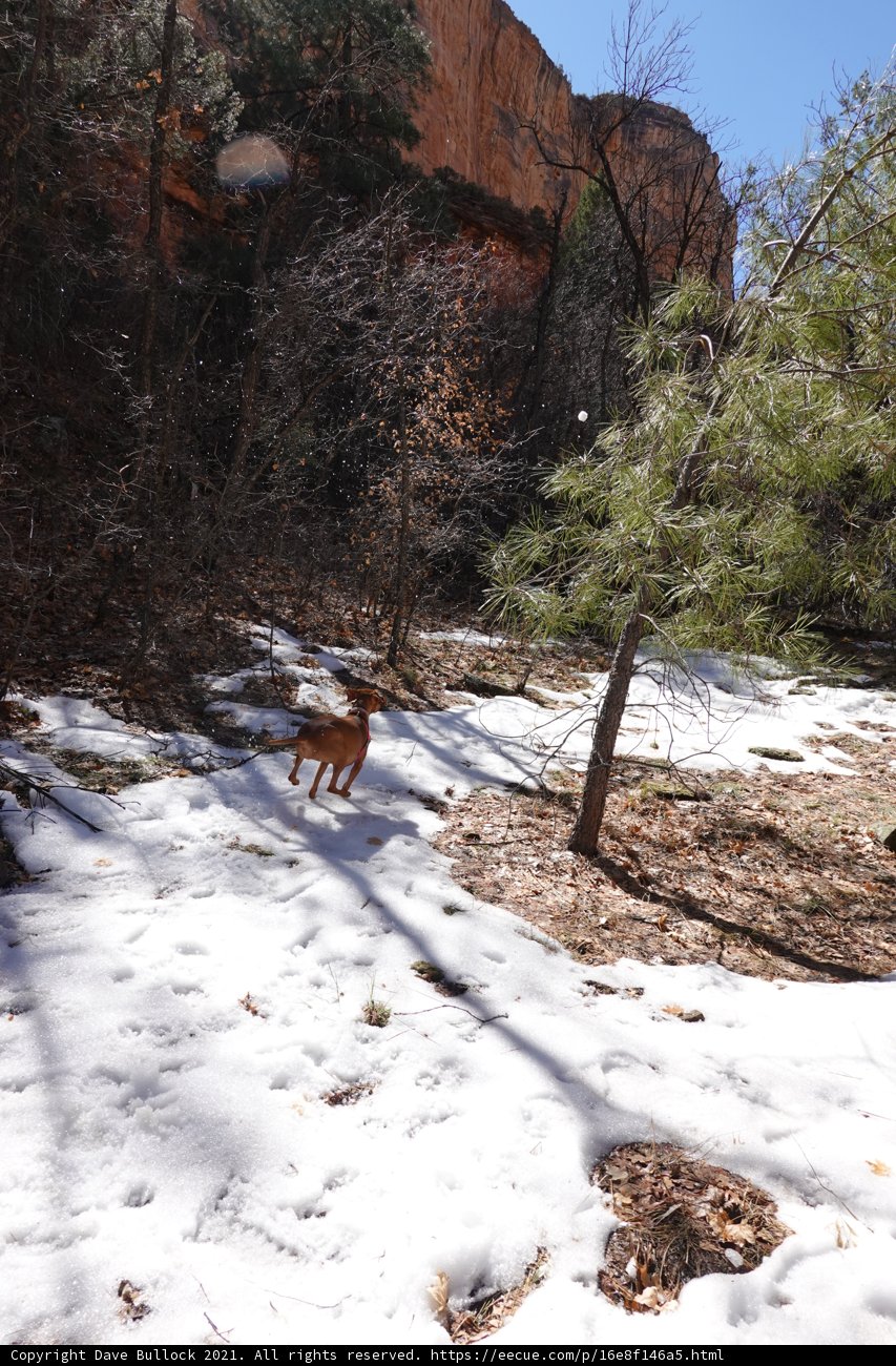 Winter Wonderland Run