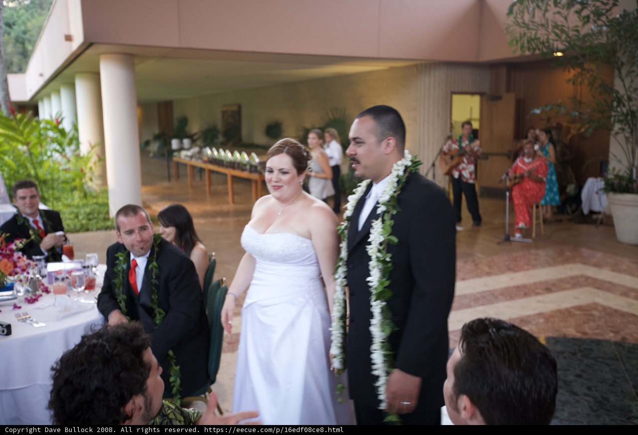 A Romantic Hawaiian Wedding