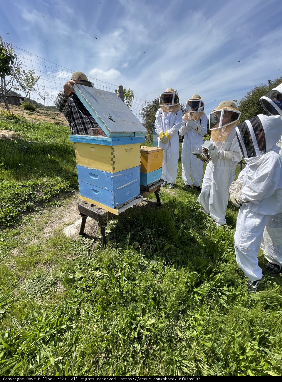 Beekeepers working in the apiary under the blue sky and cloudy weather