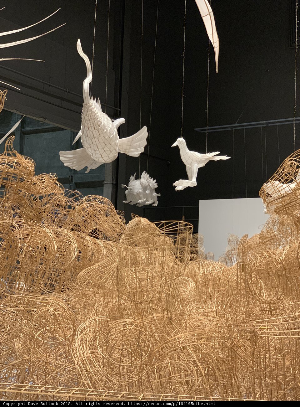Flight of Freedom