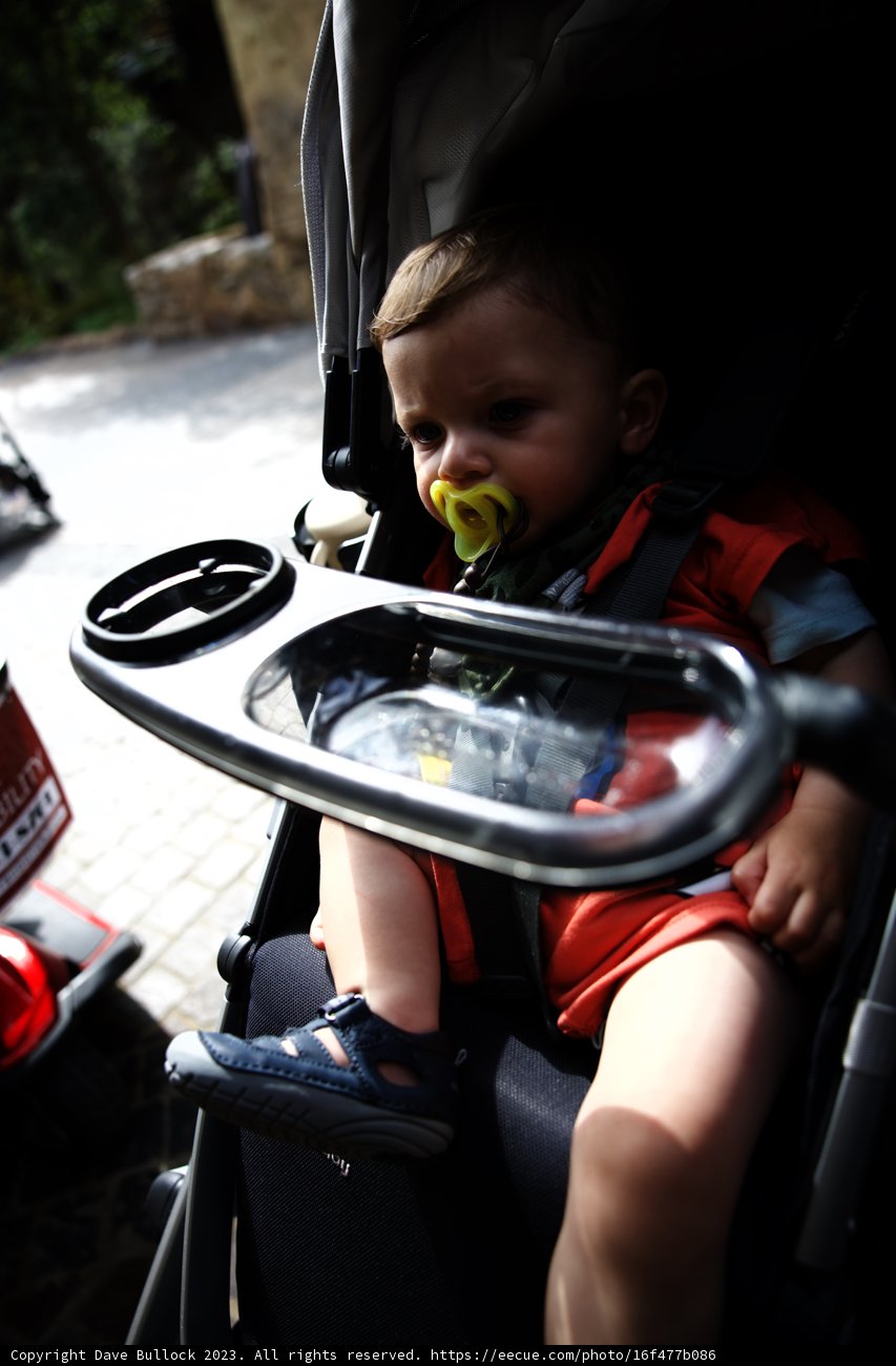 Baby's Enchanted Disneyland Adventure
