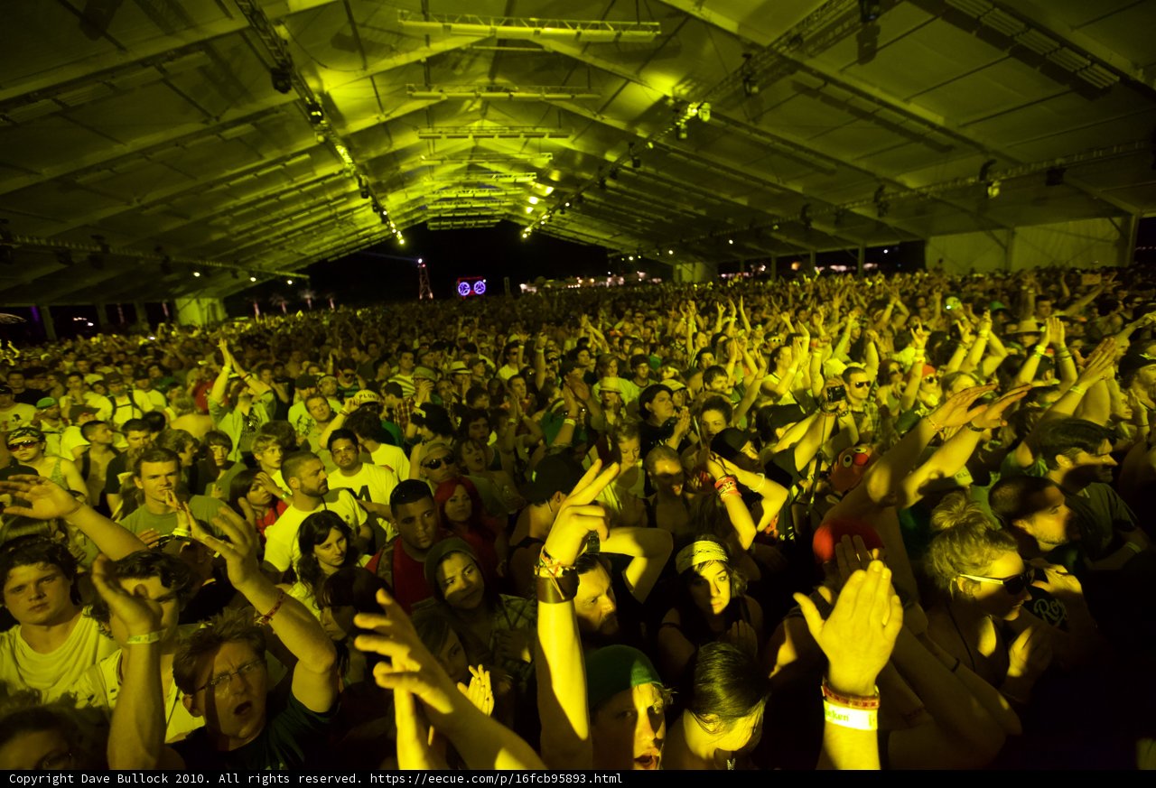 Coachella Crowd Goes Wild