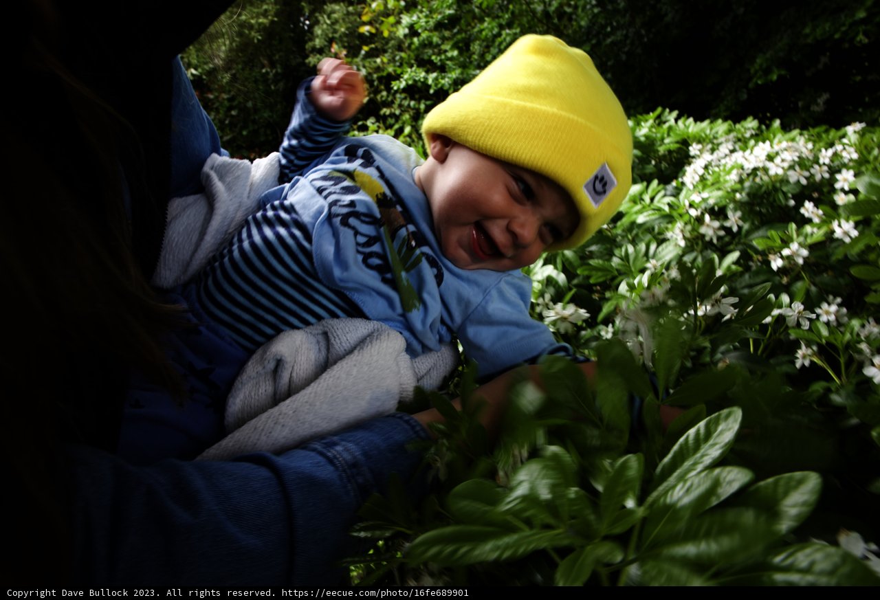 A Botanical Garden Bonding Moment