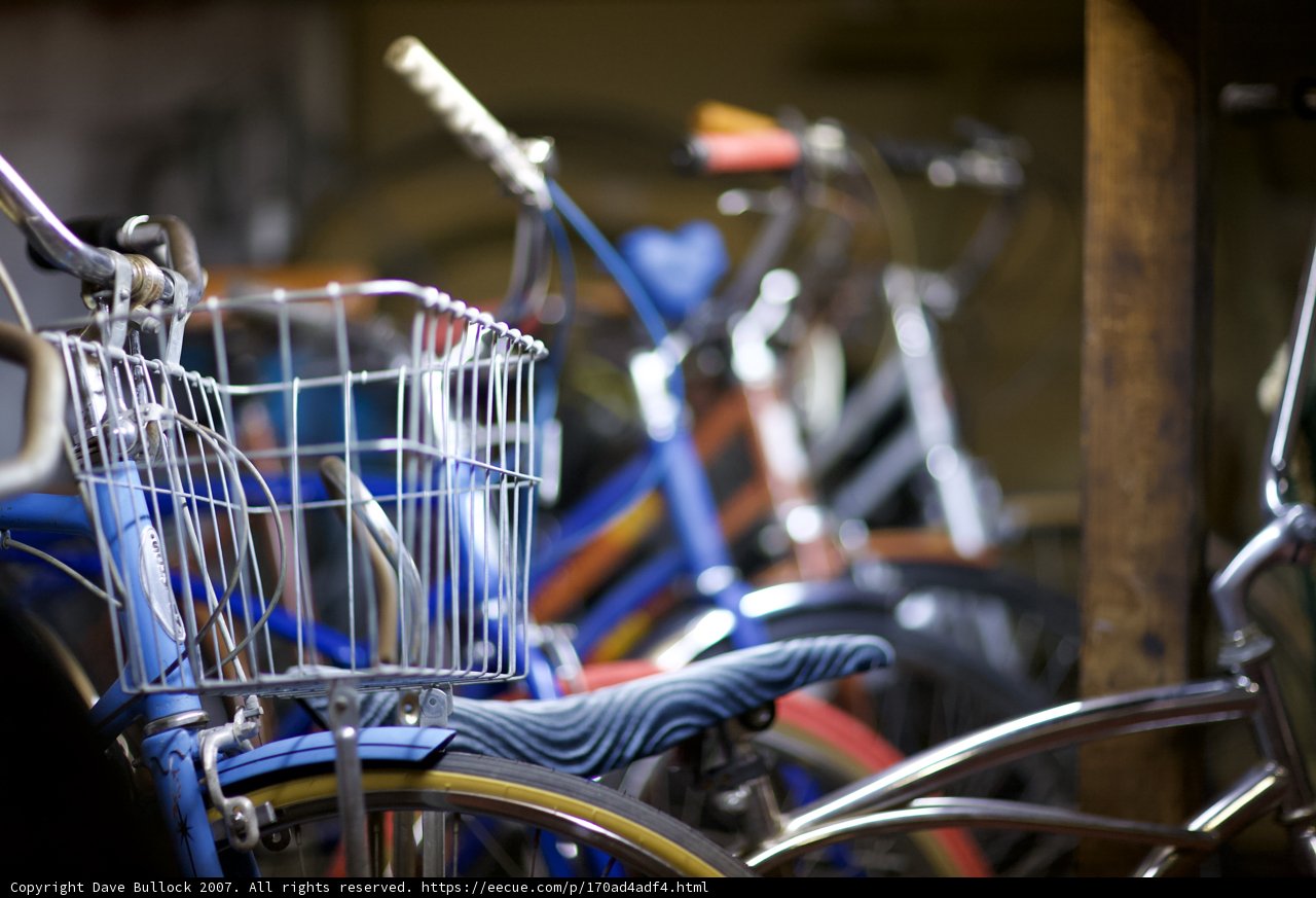 Pedaling Through the Years