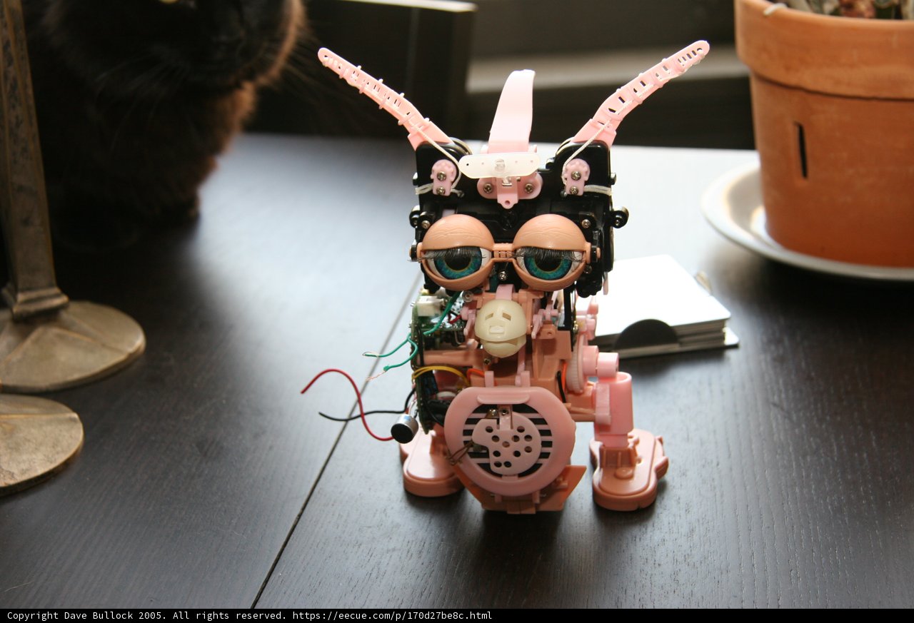 Robo-Cat Companion