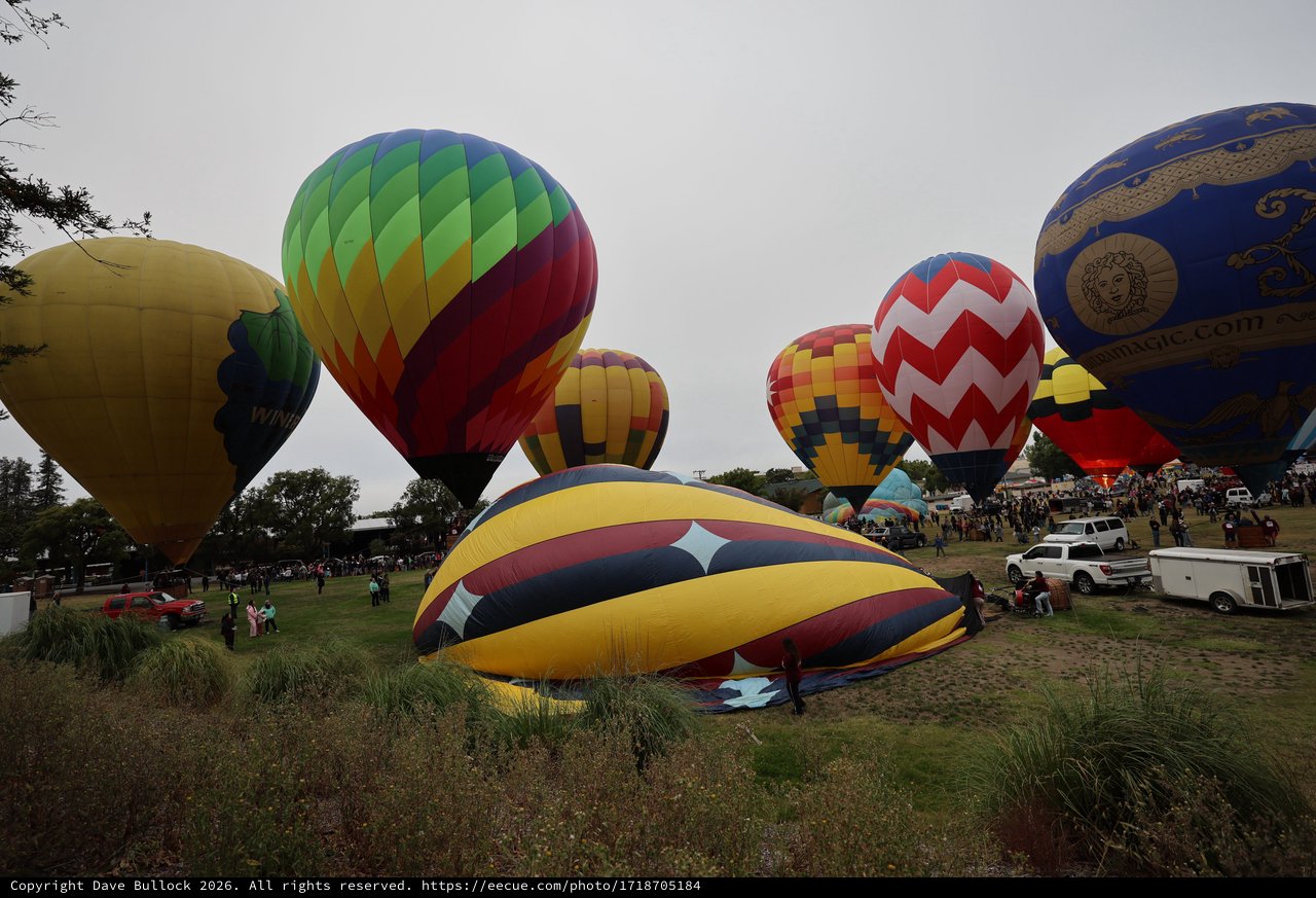 Colorful Hot Air Balloons Rising at Sonoma Classic